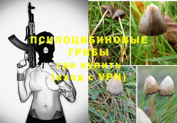 герыч Алексин