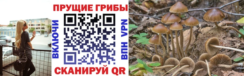 мориарти формула  Новая Ляля  Псилоцибиновые грибы мицелий 